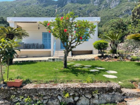 VILLA CARA